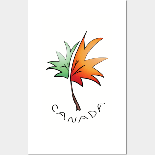 Maple Leaf - Canada (Changing of the seasons) Posters and Art